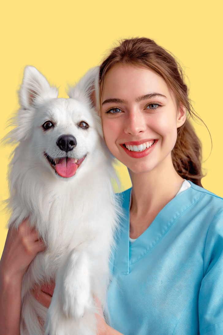 Veterinarian examining a happy dog